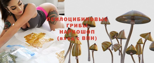 дмт Алексин