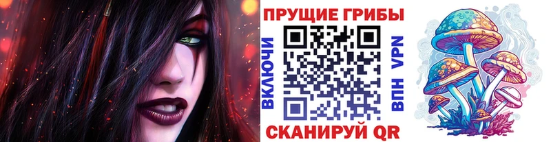 цена Лихославль Галлюциногенные грибы Cubensis